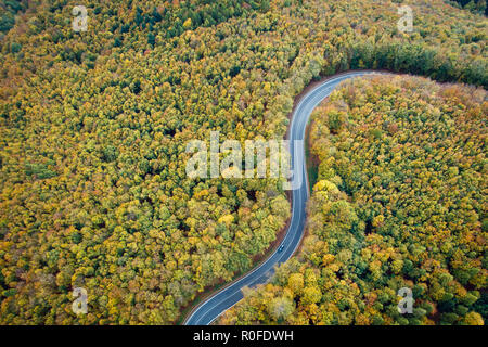 Vista aerea della strada tortuosa attraverso la foresta di pezinska baba in colori autunnali, Slovacchia Foto Stock