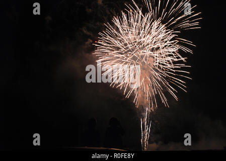Fuochi d'artificio esplodere nel cielo di notte sul quarto di luglio. Foto Stock