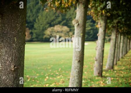 Sandringham Estate Royal Home in Norfolk Inghilterra Foto Stock