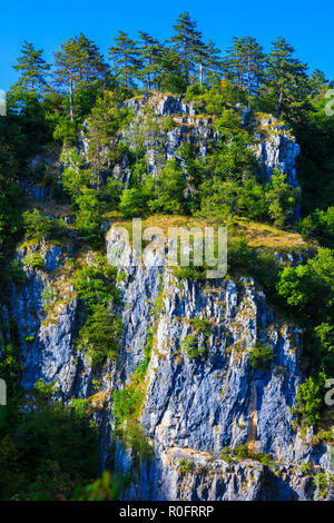 Paesaggio carsico. Foto Stock