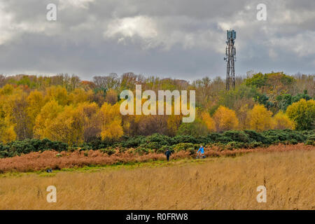 SCOTSTOWN MOOR natura locale riserva la città di Aberdeen Scotland autunno alberi ed erbe con ciclista dog walker E TELEFONO CELLULARE Torre cellulare Foto Stock