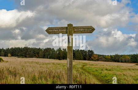 SCOTSTOWN MOOR natura locale riserva la città di Aberdeen Scotland PERCORSO DI ORIENTAMENTO PER INFORMAZIONI Foto Stock