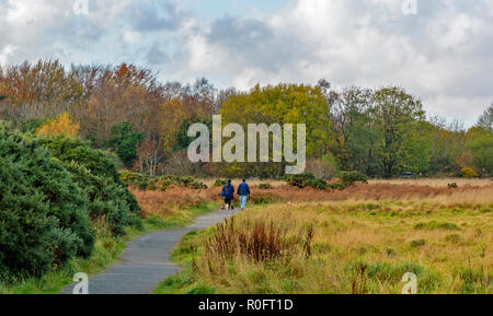 SCOTSTOWN MOOR natura locale riserva la città di Aberdeen Scotland scuotipaglia e i loro cani Foto Stock