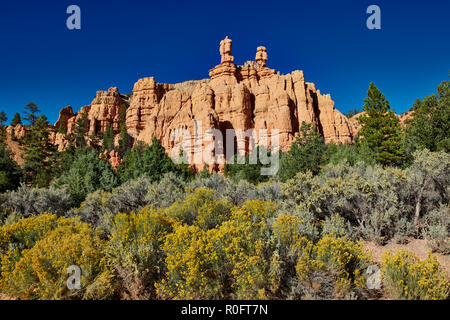 Red Canyon in Dixie National Forest, Utah, Stati Uniti d'America, America del Nord Foto Stock