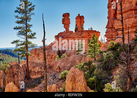 Red Canyon in Dixie National Forest, Utah, Stati Uniti d'America, America del Nord Foto Stock