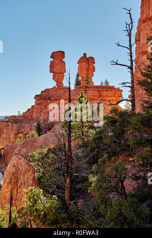 Red Canyon in Dixie National Forest, Utah, Stati Uniti d'America, America del Nord Foto Stock