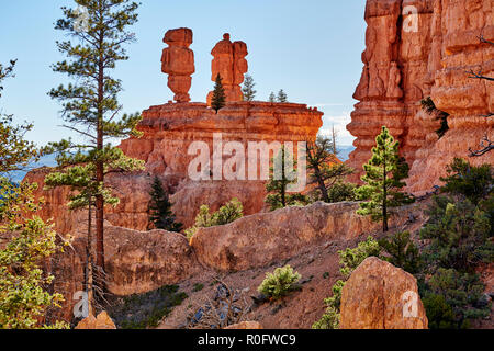 Red Canyon in Dixie National Forest, Utah, Stati Uniti d'America, America del Nord Foto Stock