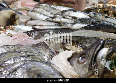 Pesce fresco Counter Foto Stock