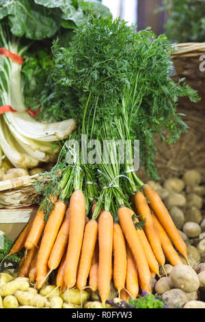 Produzione biologica di carote Foto Stock