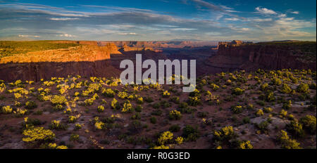 Forcella est Shafer Canyon nei pressi di Dead Horse Point State Park Canyonlands Utah STATI UNITI D'AMERICA Foto Stock