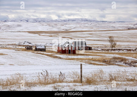 Cypress Hills prima nevicata Alberta Saskatchewan Canada Foto Stock