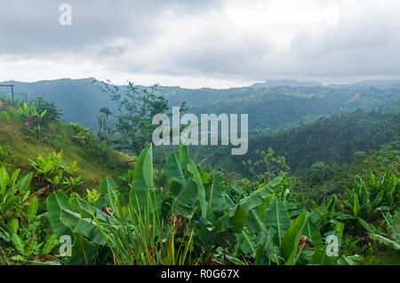 Affacciato sulla valle e cloud foreste della Cordillera Central range in jayuya puerto rico Foto Stock