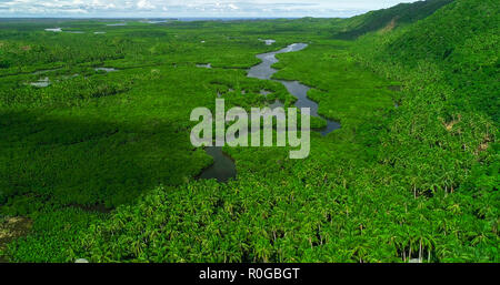 Vista aerea della foresta di mangrovie e il fiume sulla Siargao island. Filippine. Foto Stock