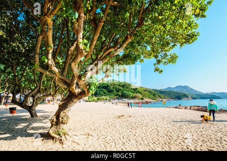 Hong Kong - Gennaio 25, 2016: Sunny sandy Hung Shing Yeh spiaggia lungo la famiglia a piedi il sentiero sulla Isola di Lamma, Hong Kong Foto Stock