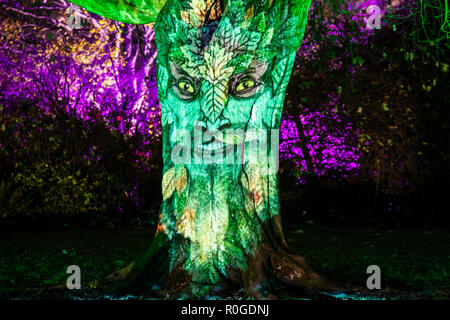 Spooky faccia proiettata su un 'parlare' albero a GlasGLOW, dove il Giardino Botanico è illuminato di notte. Foto Stock