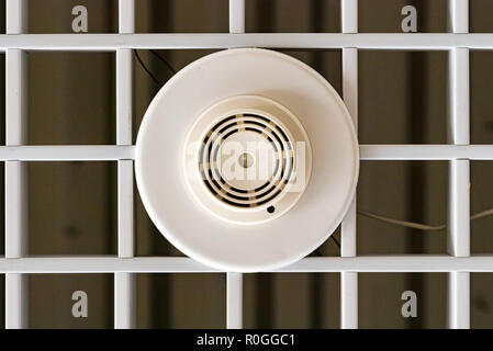 Close up moderno rilevatore di fumo sul soffitto Foto Stock