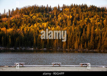 Cypress Hills prima nevicata Alberta Saskatchewan Canada Foto Stock