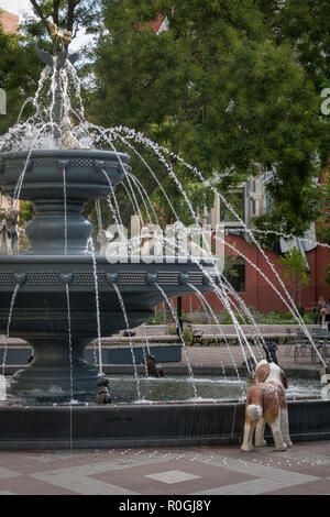 Fontana del cane in Berczy Park, Toronto, Canada Foto Stock