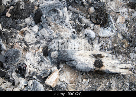 Carboni bruciati con cenere grigia dopo aver spento il fuoco per barbeсue, sfondo naturale o texture Foto Stock