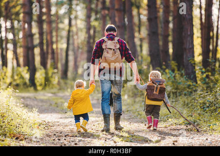 Una vista posteriore del padre con bambino bambini passeggiate in un bosco d'autunno. Foto Stock