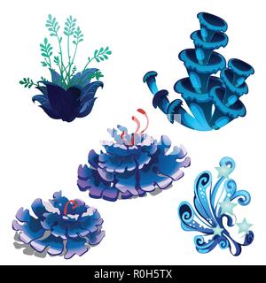 Set di colorate cartoon marine alghe e coralli polipi isolati su sfondo bianco. Illustrazione Vettoriale. Illustrazione Vettoriale