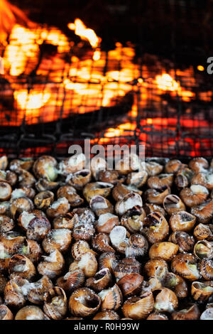 Primo piano di una vaschetta di caragols a la llauna, una ricetta di lumache tipici della Catalogna, Spagna, essendo cotti su una legna da ardere Foto Stock