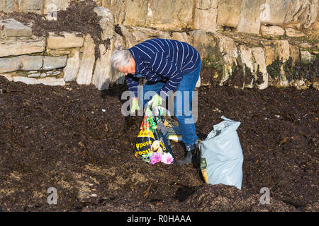 Donna raccolta di alghe sulla spiaggia a Swanage, Dorset Regno Unito nel mese di novembre Foto Stock