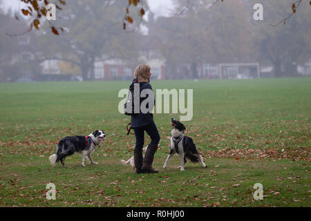 Northampton, Regno Unito. 5 Novembre, 2018. Una signora camminando lei ha 3 cani in Abington Park in una fredda mattina nebbiosa, molto tranquilla come questa mattina il tempo deve essere messa fuori le persone fino a quando non migliora dopo othis mattina. Credito: Keith J Smith./Alamy Live News Foto Stock