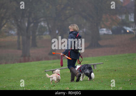 Northampton, Regno Unito. 5 Novembre, 2018. Una signora camminando lei ha 3 cani in Abington Park in una fredda mattina nebbiosa, molto tranquilla come questa mattina il tempo deve essere messa fuori le persone fino a quando non migliora dopo othis mattina. Credito: Keith J Smith./Alamy Live News Foto Stock