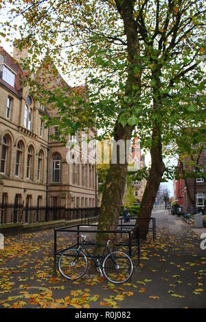 La bici da corsa e il vecchio albero in autunno cadono con un un vecchio edificio in background Foto Stock