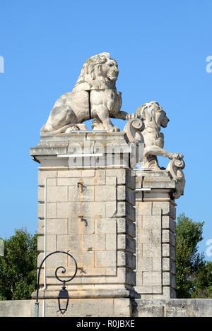 Leoni scolpiti nella pietra in cima a colonne o ex sospensione ponte attraverso il Fiume Rodano ad Arles Provence Francia Foto Stock