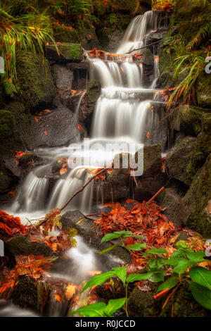 Giardini Clyne cascata cascata Foto Stock