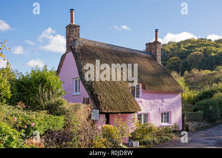 Cottage con il tetto di paglia nel suggestivo villaggio di Dunster, Parco Nazionale di Exmoor, Somerset, Inghilterra, Regno Unito Foto Stock