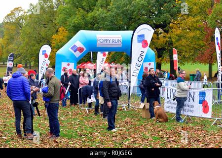 Il Royal British Legion Poppy eseguito su Wollaton Park,Nottingham, Inghilterra, Regno Unito. Foto Stock