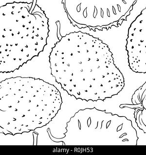 Vettore soursop pattern su sfondo bianco Illustrazione Vettoriale