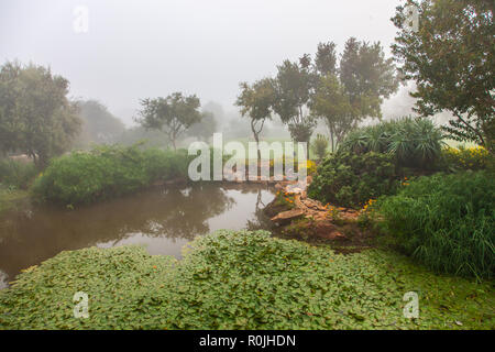 Sulla sommità del monte Magaliesberg appena fuori Pretoria, Sud Africa Foto Stock