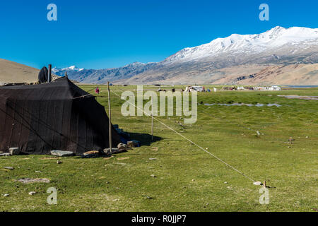 Alcune popolazioni nomadi tende si accamparono presso Changtang pianure vicino a Tso Moriri, montagne coperte di neve in lontananza. Foto Stock