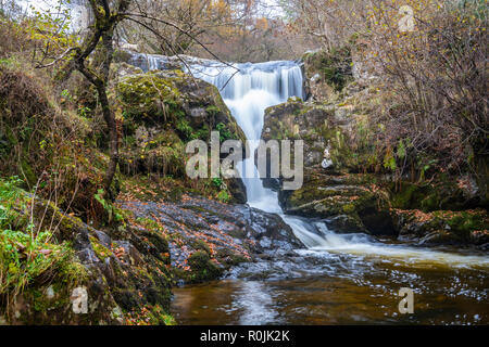 Cascata Aira Beck, Lake District, Cumbria, Inghilterra Foto Stock