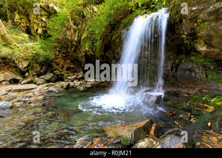 Grotta scende, Trillium Gap Trail, Smoky Mountains National Park Foto Stock
