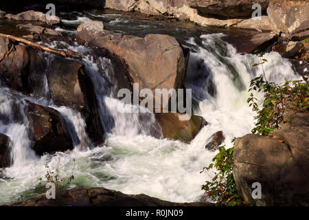 I lavelli, Smoky Mountains National Park Foto Stock