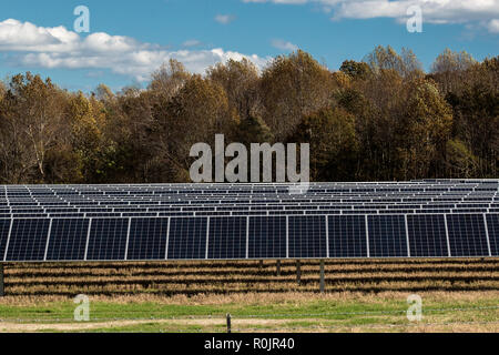 Fonti di energia rinnovabili campo sostituisce le colture di fattoria in Virginia Foto Stock