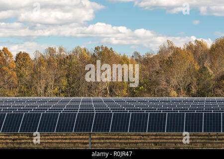 Fonti di energia rinnovabili campo sostituisce le colture di fattoria in Virginia Foto Stock