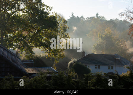 Una casa suburbana nel Surrey in un freddo gelido foschia mattutina con il sole solo attraverso la rottura. Foto Stock