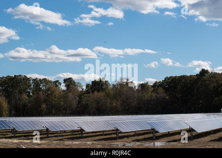 Fonti di energia rinnovabili campo sostituisce le colture di fattoria in Virginia Foto Stock