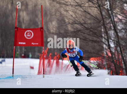 LOON MOUNTAIN USA - gennaio 24: Tina Sutton Memorial - Slalom competizione di sci partecipante non identificato in avvicinamento al cancello durante junior gara di sci su Foto Stock