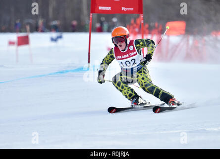 LOON MOUNTAIN USA - gennaio 24: Tina Sutton Memorial - Slalom competizione di sci partecipante non identificato in avvicinamento al cancello durante junior gara di sci su Foto Stock