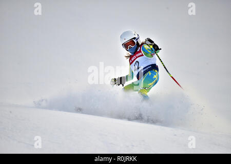 LOON MOUNTAIN USA - gennaio 24: Tina Sutton Memorial - sci da slalom della concorrenza. Il partecipante non identificato di sci junior gara di gennaio 24, 2016 a Foto Stock