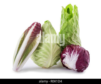 Cicoria radicchio cavolo fine salade isolato su bianco Foto Stock