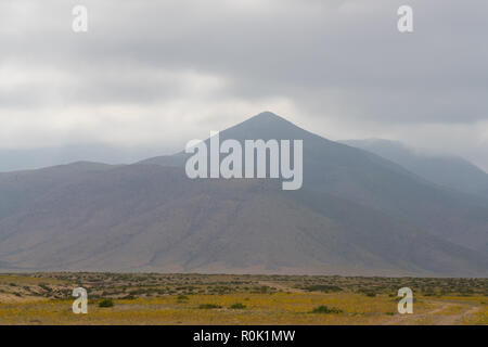 Paesaggio del deserto di Atacama, Cile settentrionale Foto Stock