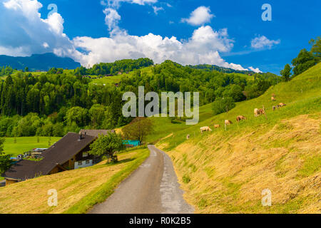 Benne, Werdenberg San Gallo in Svizzera Foto Stock